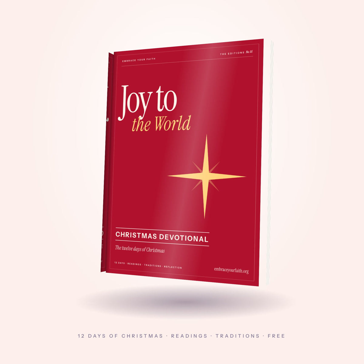 Joy to the World: 12 days of Christmas devotional, printable PDF