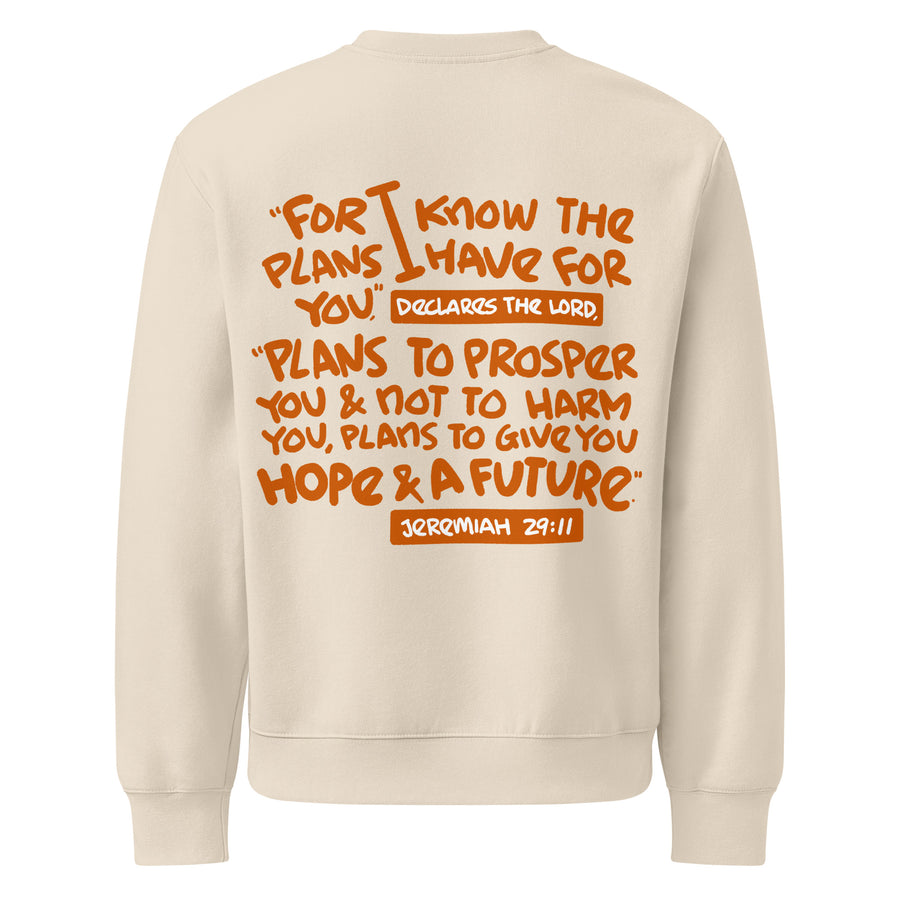 Jeremiah 29:11 Heavyweight Sweatshirt (Burnt Orange Print) in Dust, back view – Jeremiah 29:11