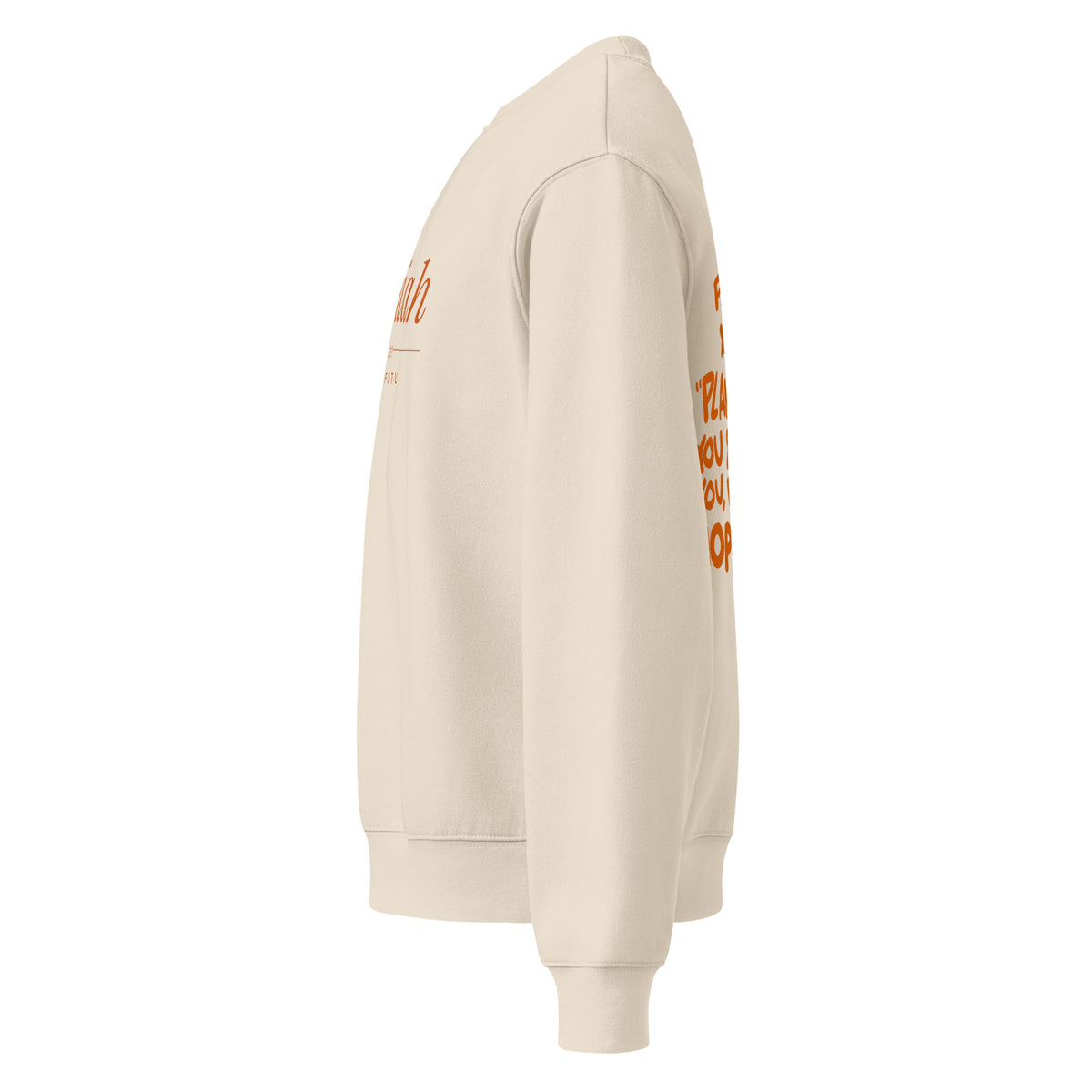 Jeremiah 29:11 Heavyweight Sweatshirt (Burnt Orange Print) in Dust, left side view – Jeremiah 29:11